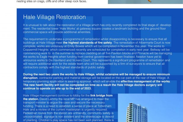 Hale Village Newsletter Issue 16 Spring 2022 (8) 8-1